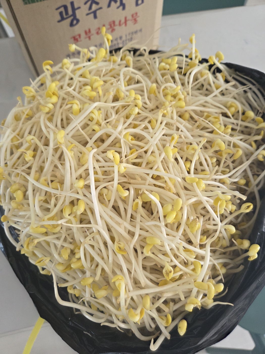 26.05.19 ��0���� �Ŀ�
